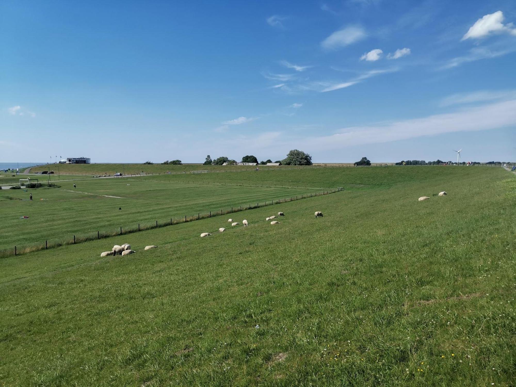 FeWo Urbaniak Tossens - a27050 Butjadingen Exterior foto